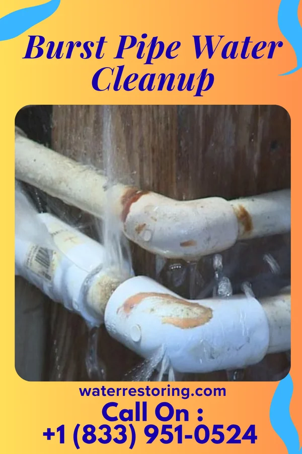 Burst Pipe Water Cleanup in Polk City, FL