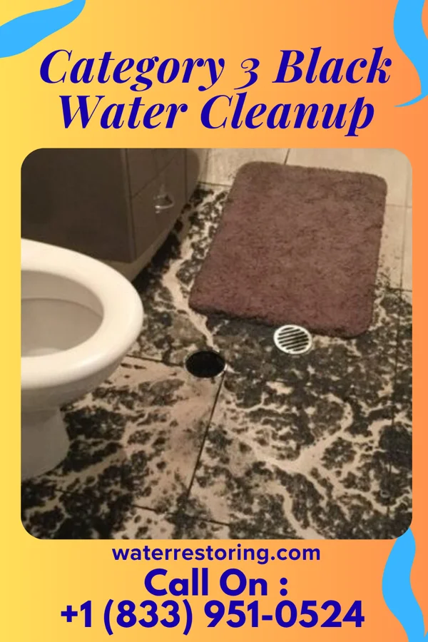 Category 3 Black Water Cleanup in Polk City, FL